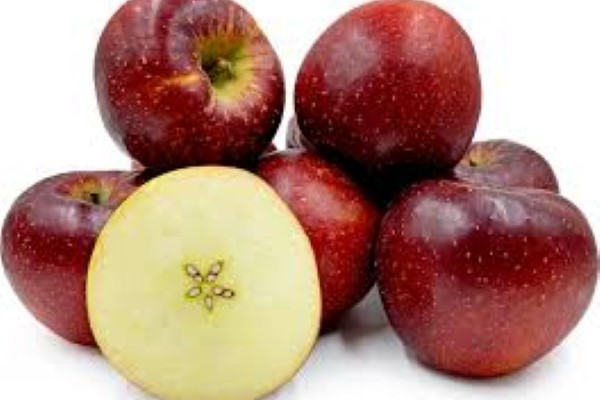 قیمت سیب قرمز درختی + خرید باور نکردنی 4
